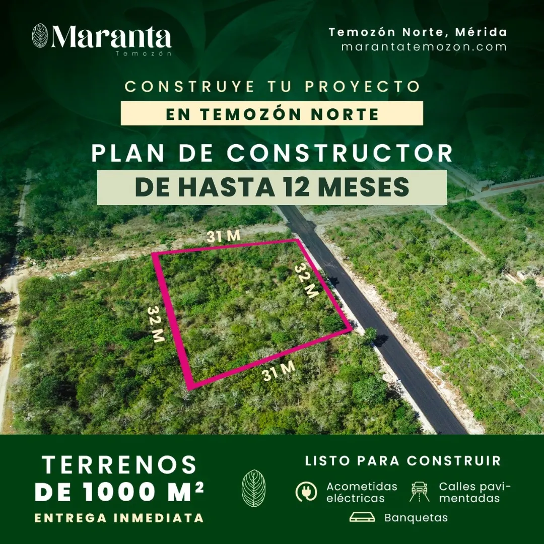 Maranta Temozón — foto 1